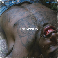 Thumbnail for the Saviii 3rd - Politics link, provided by host site