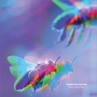 Thumbnail for the Thurston Moore - Pollination link, provided by host site