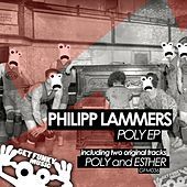 Thumbnail for the Philipp Lammers - Poly link, provided by host site
