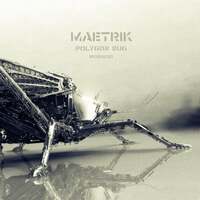 Thumbnail for the Maetrik - Polygon Bug link, provided by host site