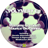 Thumbnail for the Massimo Cassini - Polymery link, provided by host site