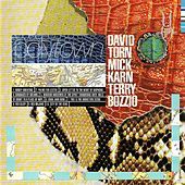 Image of David Torn linking to their artist page due to link from them being at the top of the main table on this page