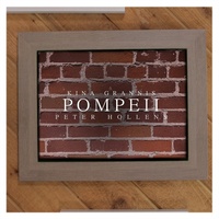 Thumbnail for the Kina Grannis - Pompeii link, provided by host site