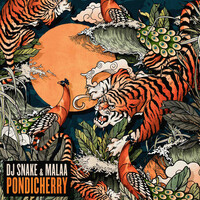 Thumbnail for the DJ Snake - Pondicherry link, provided by host site