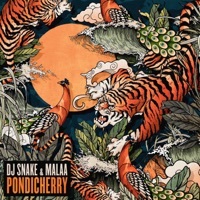 Thumbnail for the DJ Snake - Pondicherry link, provided by host site