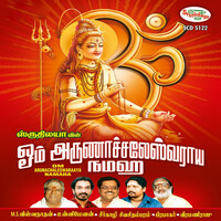 Thumbnail for the Vidhya - Ponnaga link, provided by host site