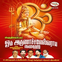 Image of Vidhya linking to their artist page due to link from them being at the top of the main table on this page
