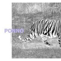 Thumbnail for the Lucas Arr - Ponno link, provided by host site