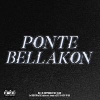 Thumbnail for the McFly - PONTE BELLAKON link, provided by host site