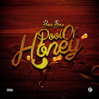 Thumbnail for the Boo Boo - Pool Of Honey link, provided by host site