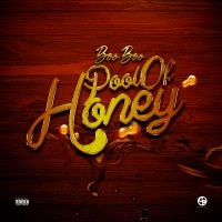 Thumbnail for the Boo Boo - Pool Of Honey link, provided by host site
