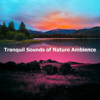 Thumbnail for the Relaxing Nature Ambience - Poolside Coastal link, provided by host site