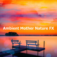 Thumbnail for the Relaxing Nature Ambience - Poolside Harmonic link, provided by host site