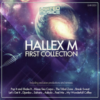 Thumbnail for the Peven Everett - Pop It and Shake It - Hallex M & Tony Loreto Remix link, provided by host site