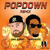 Thumbnail for the Hardware - Popdown (Remix) link, provided by host site