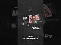 Thumbnail for the Brandon Lake - Poppy, the traveling merch pop up shop is stopping at a city near you bringing dat new new merch 🤠 link, provided by host site
