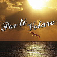 Thumbnail for the DCO - Por Ti Volare link, provided by host site
