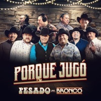 Thumbnail for the Pesado - Porque Jugó link, provided by host site