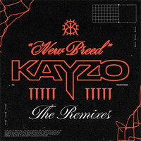 Thumbnail for the Kayzo - POSER (N3WPORT Remix) link, provided by host site