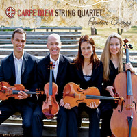 Thumbnail for the Carpe Diem String Quartet - Positive Energy link, provided by host site