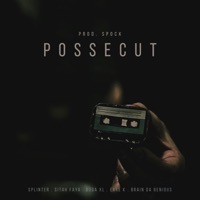 Thumbnail for the Spock - Posse Cut link, provided by host site