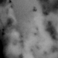 Thumbnail for the Eusebeia - Post link, provided by host site