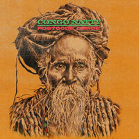 Thumbnail for the Congo Natty - Postcode Dance link, provided by host site