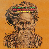 Thumbnail for the Congo Natty - Postcode Dance (ISHEN Remix) link, provided by host site