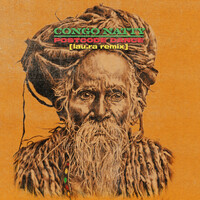 Thumbnail for the Congo Natty - Postcode Dance (lau.ra Remix) link, provided by host site