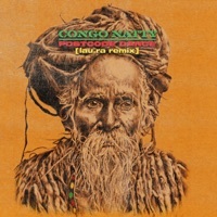 Thumbnail for the Congo Natty - Postcode Dance (lau.ra Remix) link, provided by host site