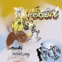 Thumbnail for the Robust - Potholes in Our Molecules link, provided by host site
