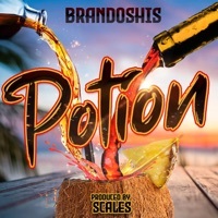 Thumbnail for the Brandoshis - Potion link, provided by host site