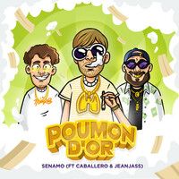 Thumbnail for the Senamo - Poumon d'or link, provided by host site
