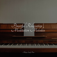 Thumbnail for the Study Music - Powerful Relaxation | Meditation Melodies link, provided by host site