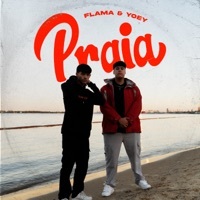 Thumbnail for the Flama - PRAiA link, provided by host site