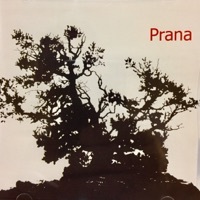 Image of Prana linking to their artist page due to link from them being at the top of the main table on this page