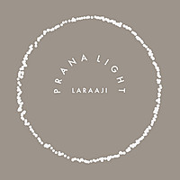 Thumbnail for the Laraaji - Prana Light link, provided by host site