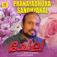 Thumbnail for the Ajith Kumar - Pranayadhura Sandhyakal (From "Chela") link, provided by host site