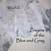 Thumbnail for the Windfall - Prayers of the Blue and Gray link, provided by host site