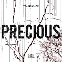 Thumbnail for the Young Chop - Precious link, provided by host site