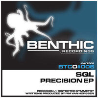 Thumbnail for the SQL - Precision link, provided by host site