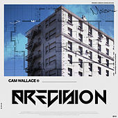 Thumbnail for the Cam Wallace - Precision (V.2) link, provided by host site