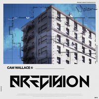 Thumbnail for the Cam Wallace - Precision (V.2) link, provided by host site