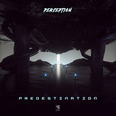 Thumbnail for the Perception - Predestination link, provided by host site