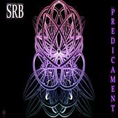 Thumbnail for the SRB - Predicament link, provided by host site