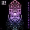 Thumbnail for the SRB - Predicament link, provided by host site