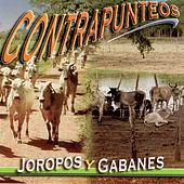 Thumbnail for the Fernando González - Preguntas al Llano link, provided by host site