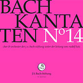 Thumbnail for the Matthias Helm - Preise, Jerusalem, den Herrn, BWV 119: Recitative. So herrlich stehst du, liebe Stadt! link, provided by host site