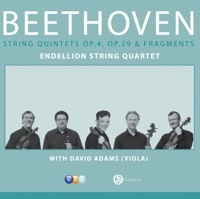 Thumbnail for the David Adams - Prelude for String Quintet in D Minor, H. 40 [Incomplete] link, provided by host site