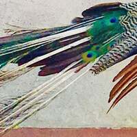 Thumbnail for the Jason Singh - Prem Diwani link, provided by host site